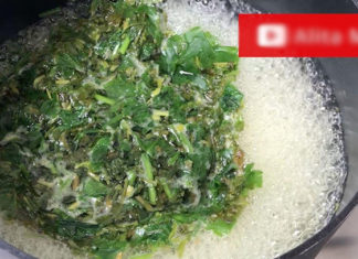 Cilantro