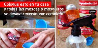 Mosquitos