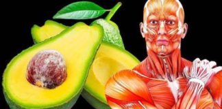 aguacate