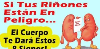 riñones