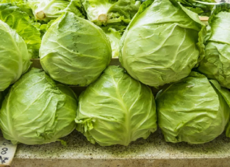 lechuga